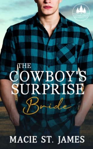 23529023488822 https://images.isbndb.com/covers/23529023488822.jpg